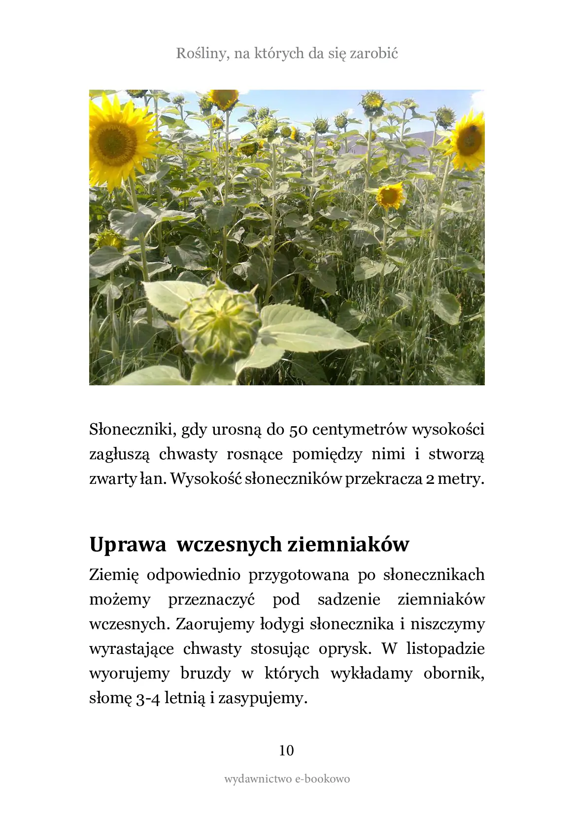 Fragment „Rośliny na których da się zarobić” — strona 10 z 10