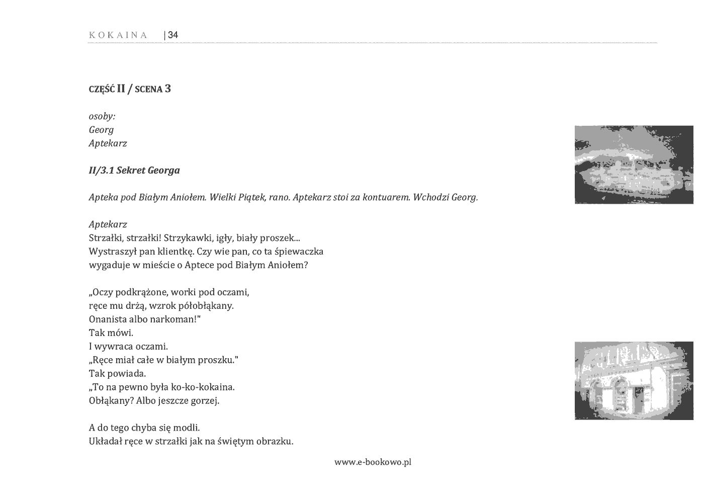 Fragment „Kokaina” — strona 20 z 30