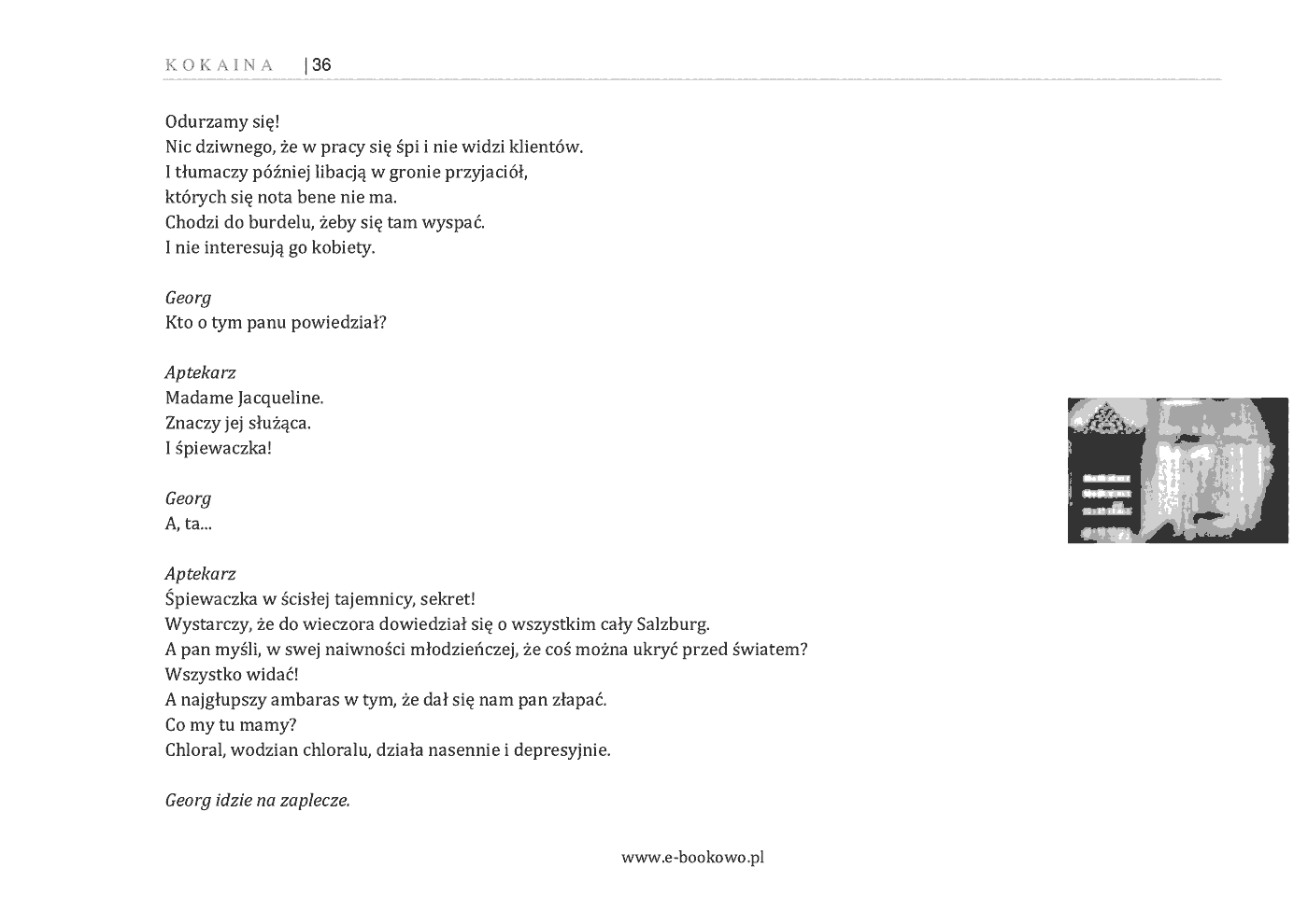 Fragment „Kokaina” — strona 22 z 30