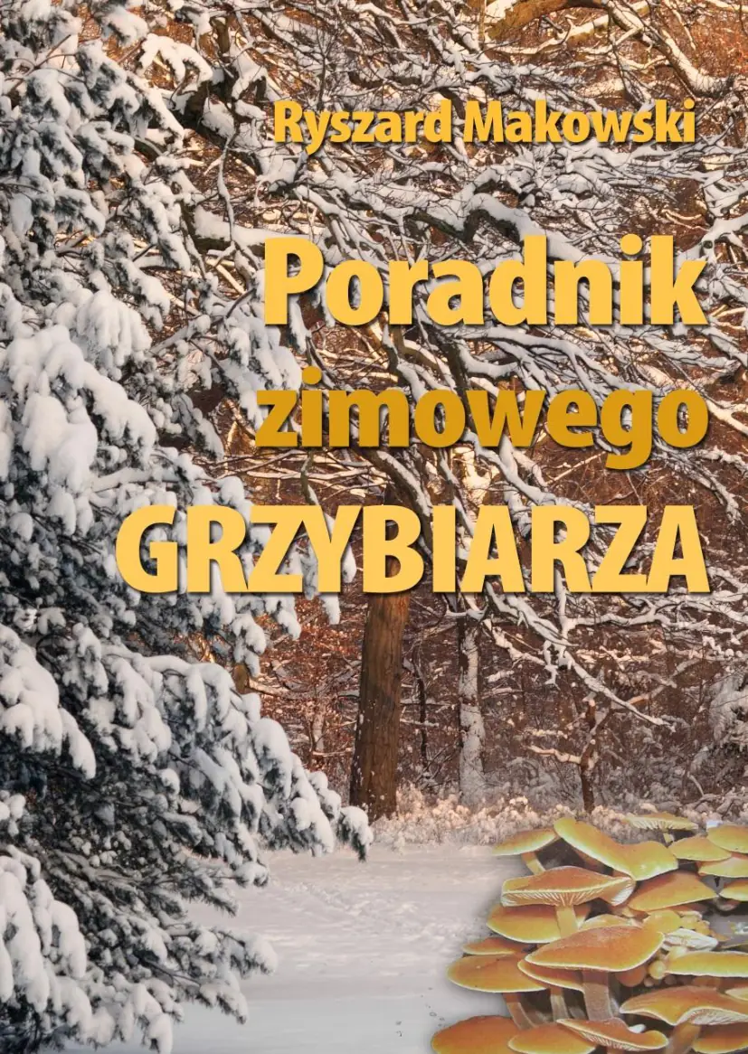 Fragment „Brutalna prawda o WhatsApp. Dlaczego aplikacja do rozmów zamieniła ludzi w zakładników własnej dostępności” — strona 1 z 18