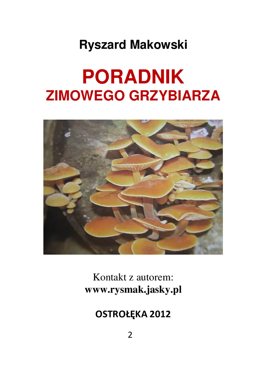 Fragment „Brutalna prawda o WhatsApp. Dlaczego aplikacja do rozmów zamieniła ludzi w zakładników własnej dostępności” — strona 2 z 18
