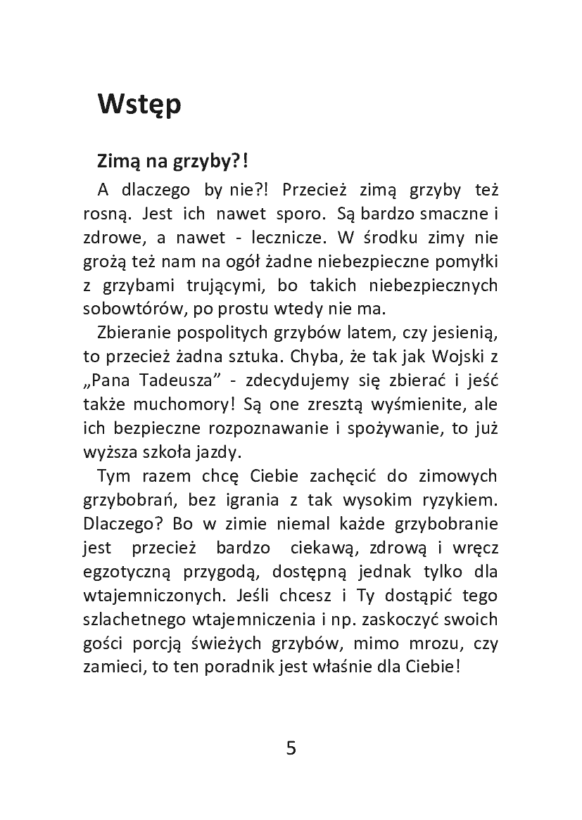 Fragment „Brutalna prawda o WhatsApp. Dlaczego aplikacja do rozmów zamieniła ludzi w zakładników własnej dostępności” — strona 5 z 18