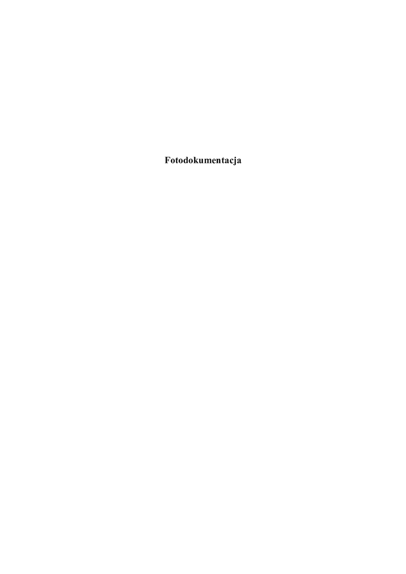 Fragment „W poszukiwaniu nowego słownictwa polskiego Materiały z prasy lat 2011-2013 fotodokumentacja” — strona 9 z 30