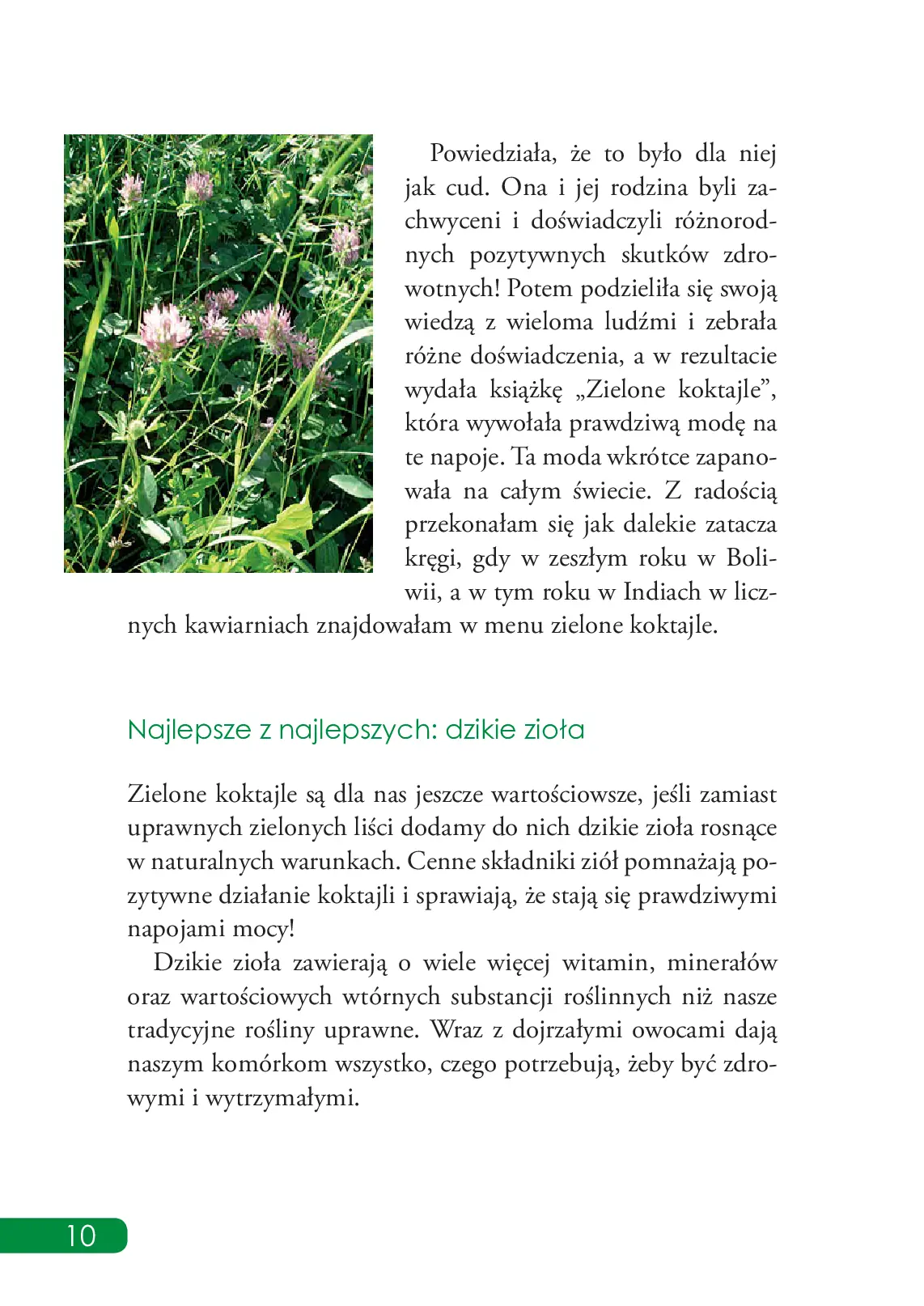 Fragment „Smoothie z jadalnych roślin dziko rosnących” — strona 10 z 11