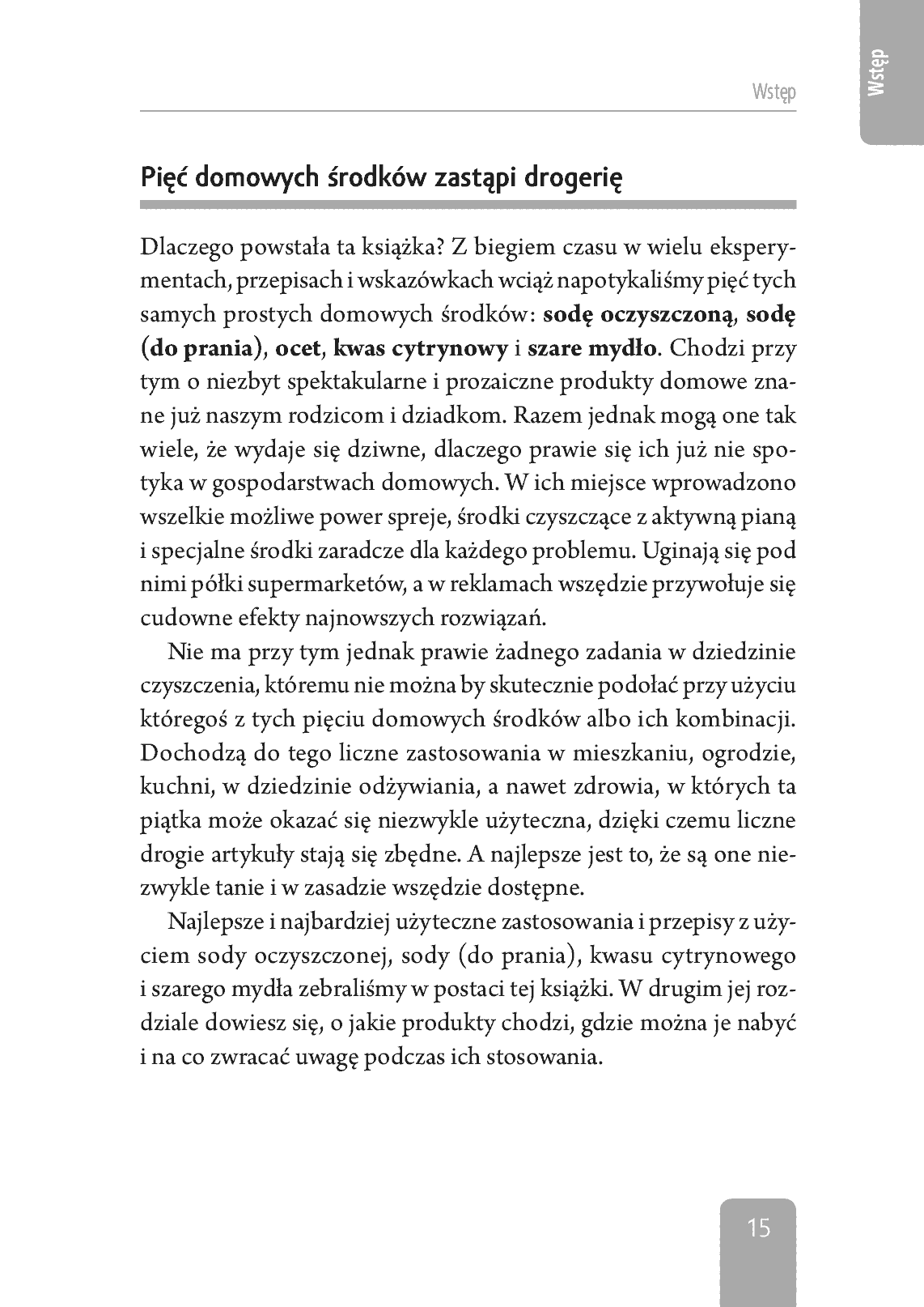 Fragment „5 domowych środków, które zastąpią drogerię” — strona 17 z 24