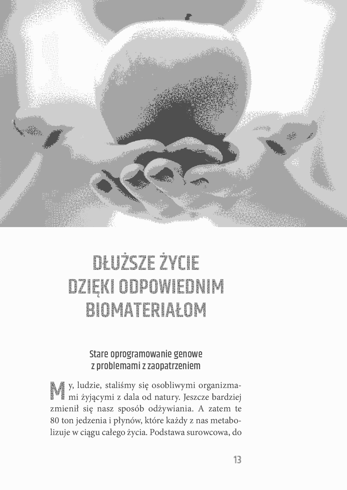Fragment „Minerały niezbędne w codziennej diecie” — strona 13 z 26