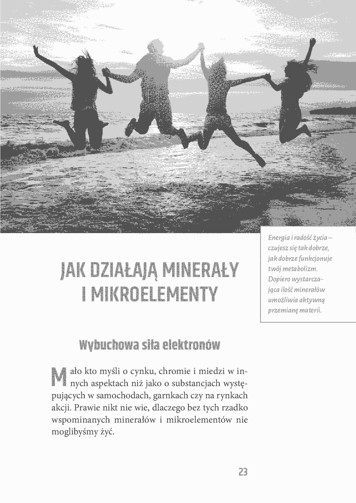 Fragment „Minerały niezbędne w codziennej diecie” — strona 23 z 26