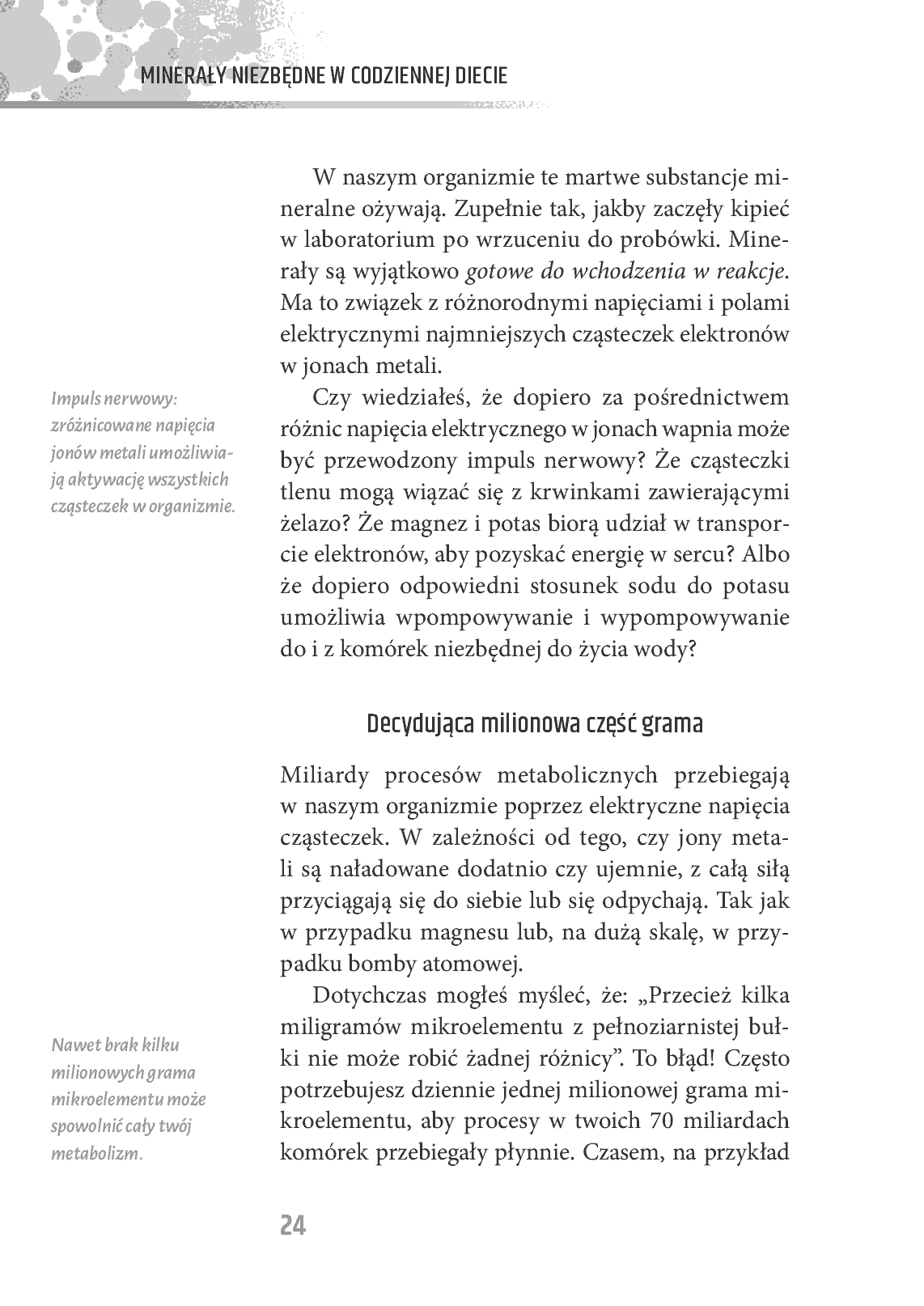 Fragment „Minerały niezbędne w codziennej diecie” — strona 24 z 26