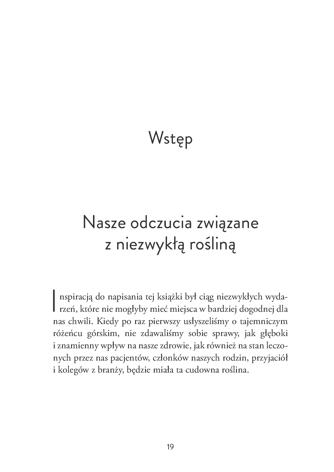 Fragment „Różeniec górski - złoty korzeń” — strona 19 z 30