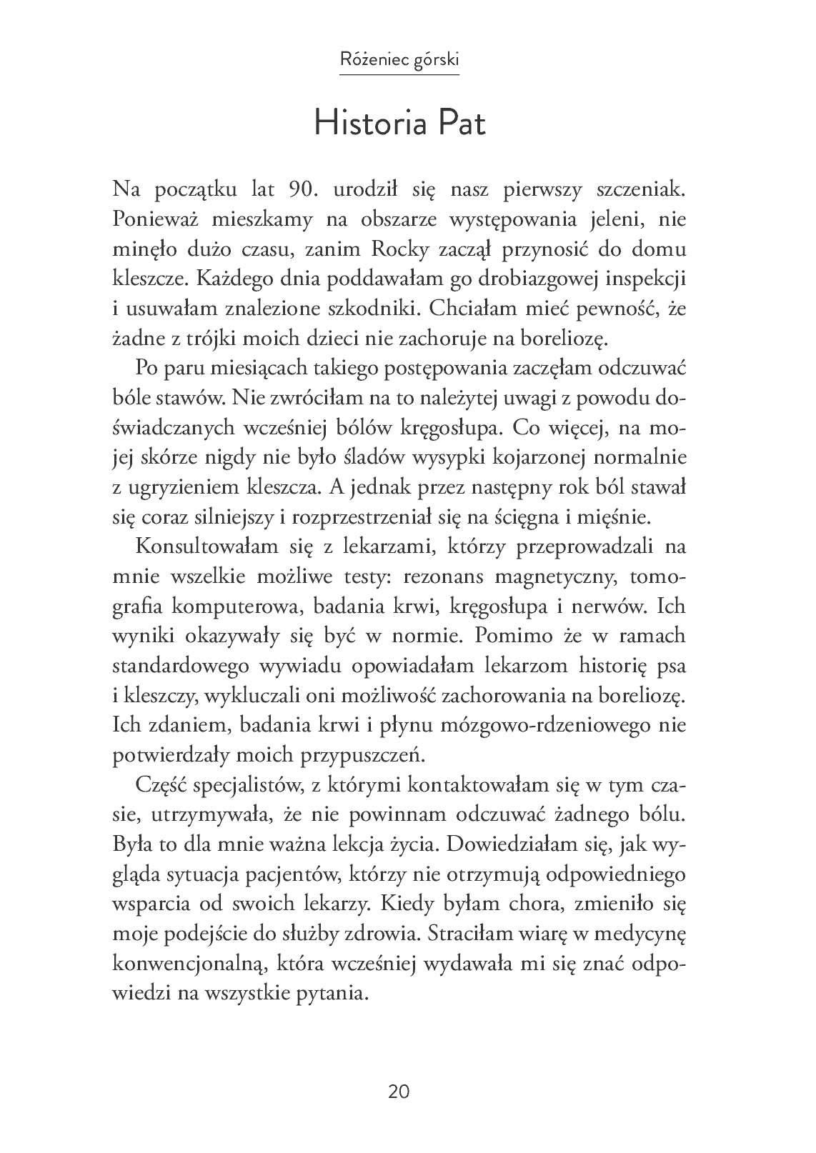 Fragment „Różeniec górski - złoty korzeń” — strona 20 z 30