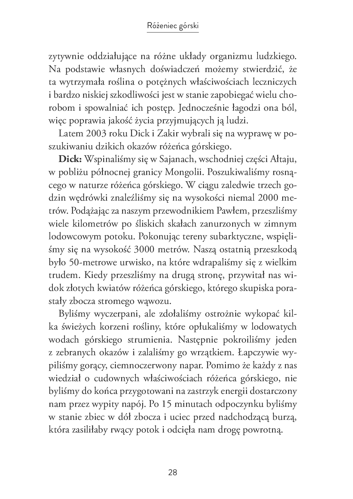Fragment „Różeniec górski - złoty korzeń” — strona 28 z 30