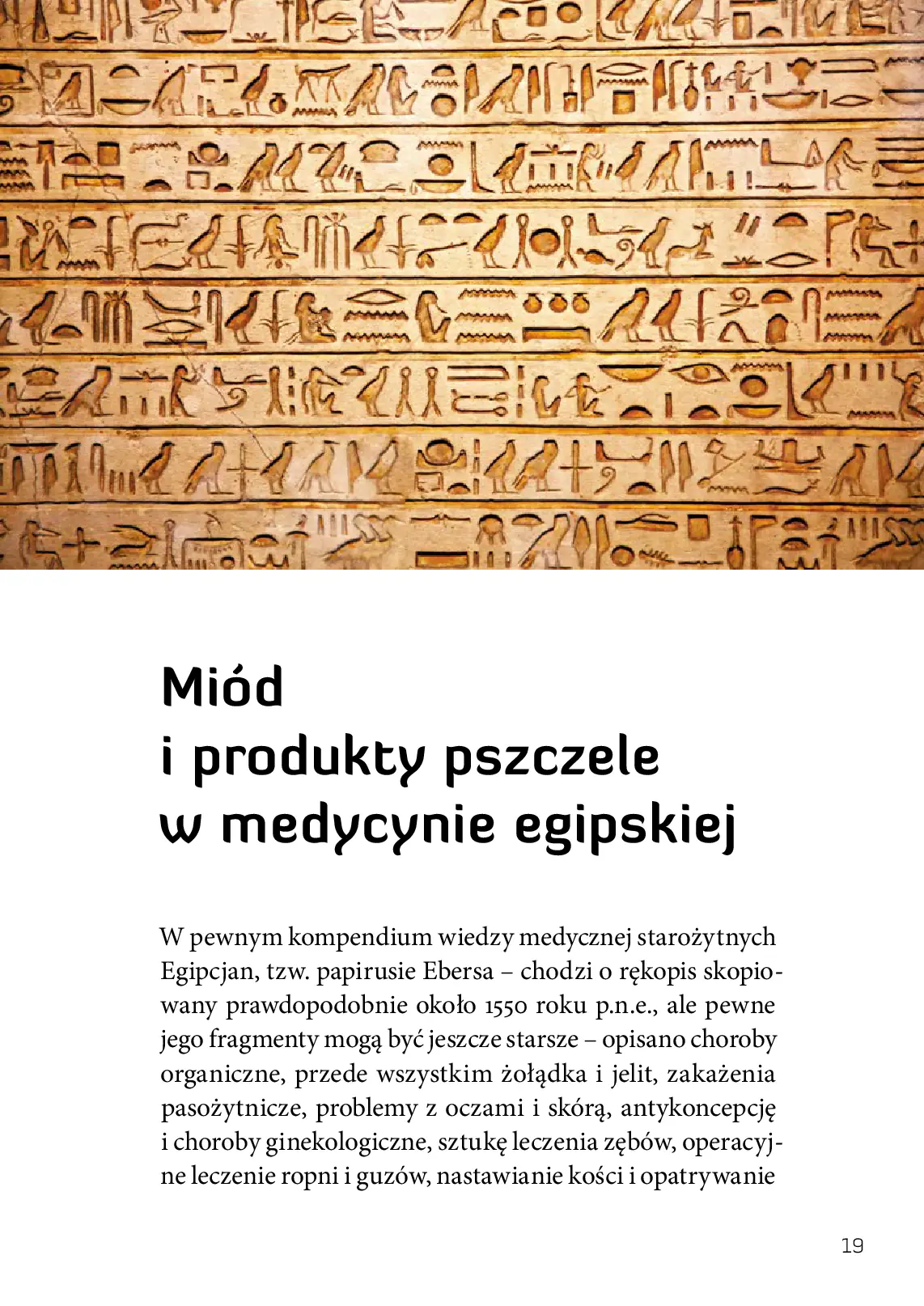 Fragment „Lecznicza moc pszczół” — strona 21 z 25