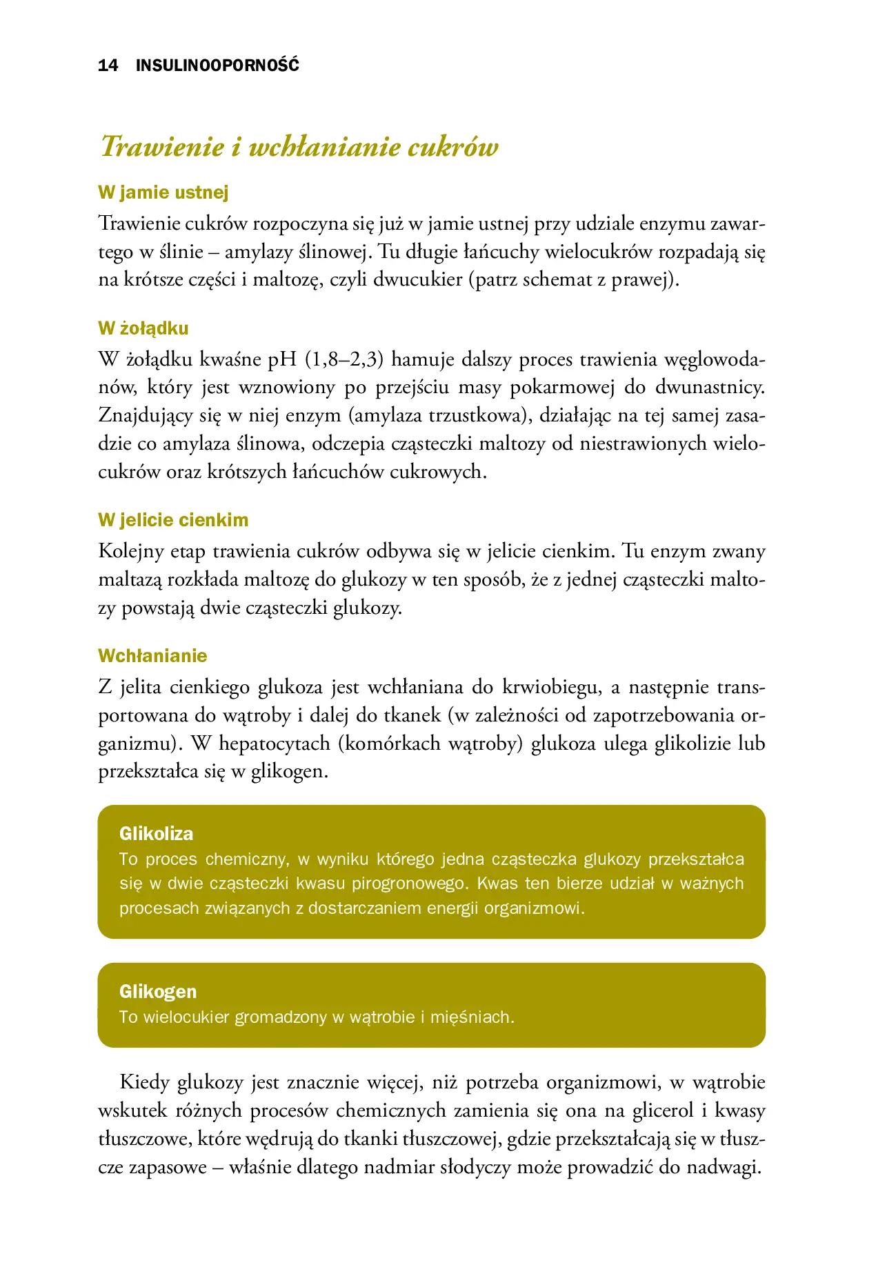Fragment „Insulinooporność. Dieta dla zdrowia” — strona 14 z 19