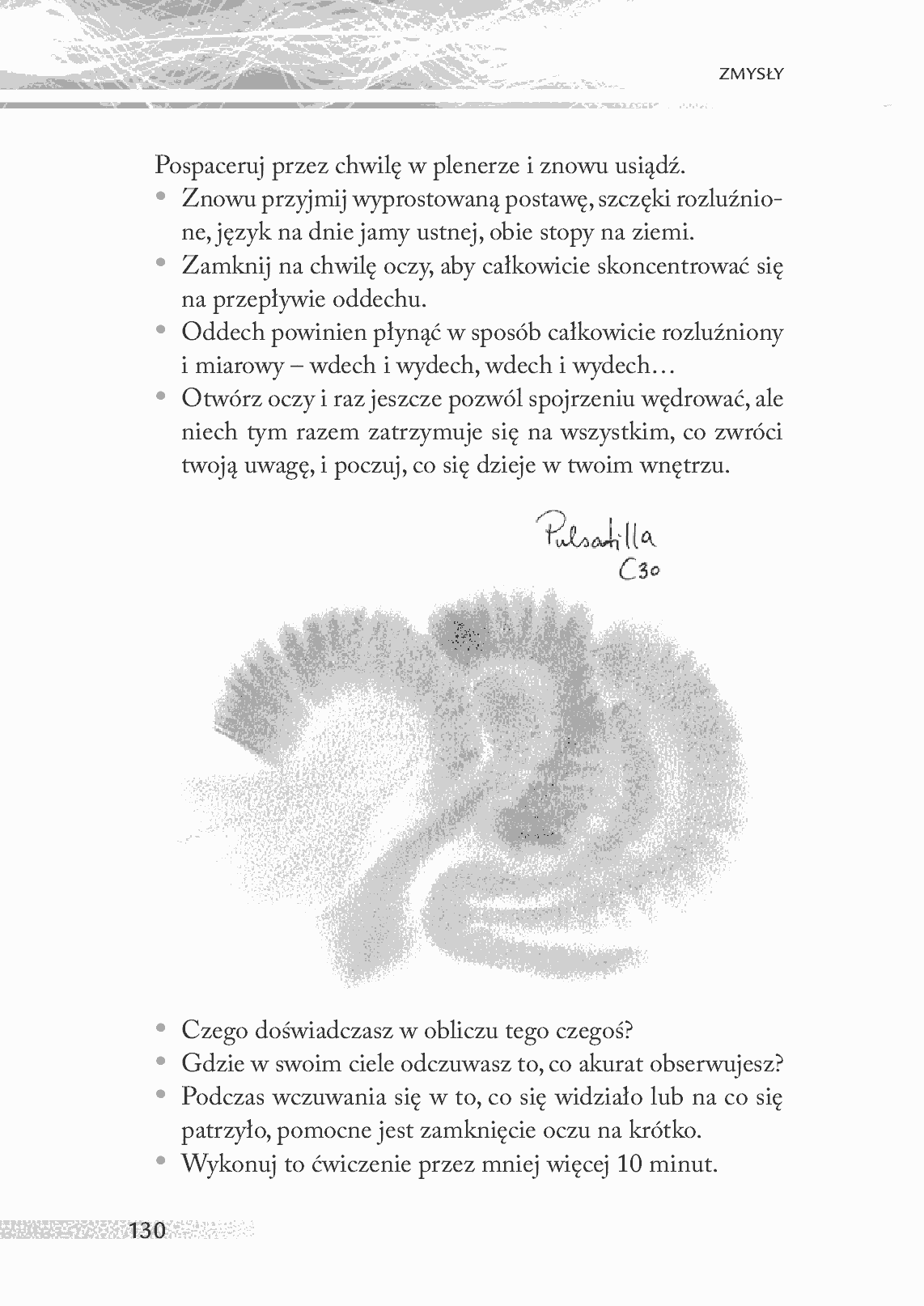 Fragment „Medycyna holistyczna. Tom X. Zmysły” — strona 19 z 24