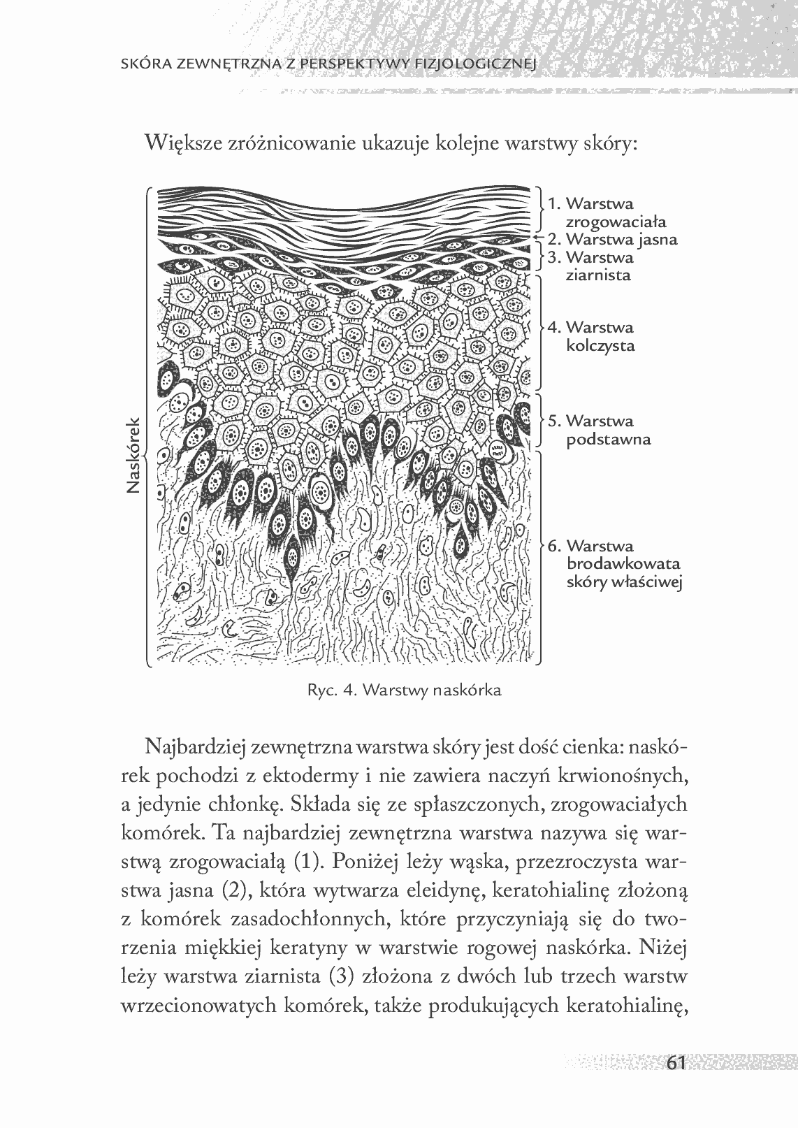 Fragment „Medycyna holistyczna. Tom XII Układ limfatyczny i skóra” — strona 9 z 23