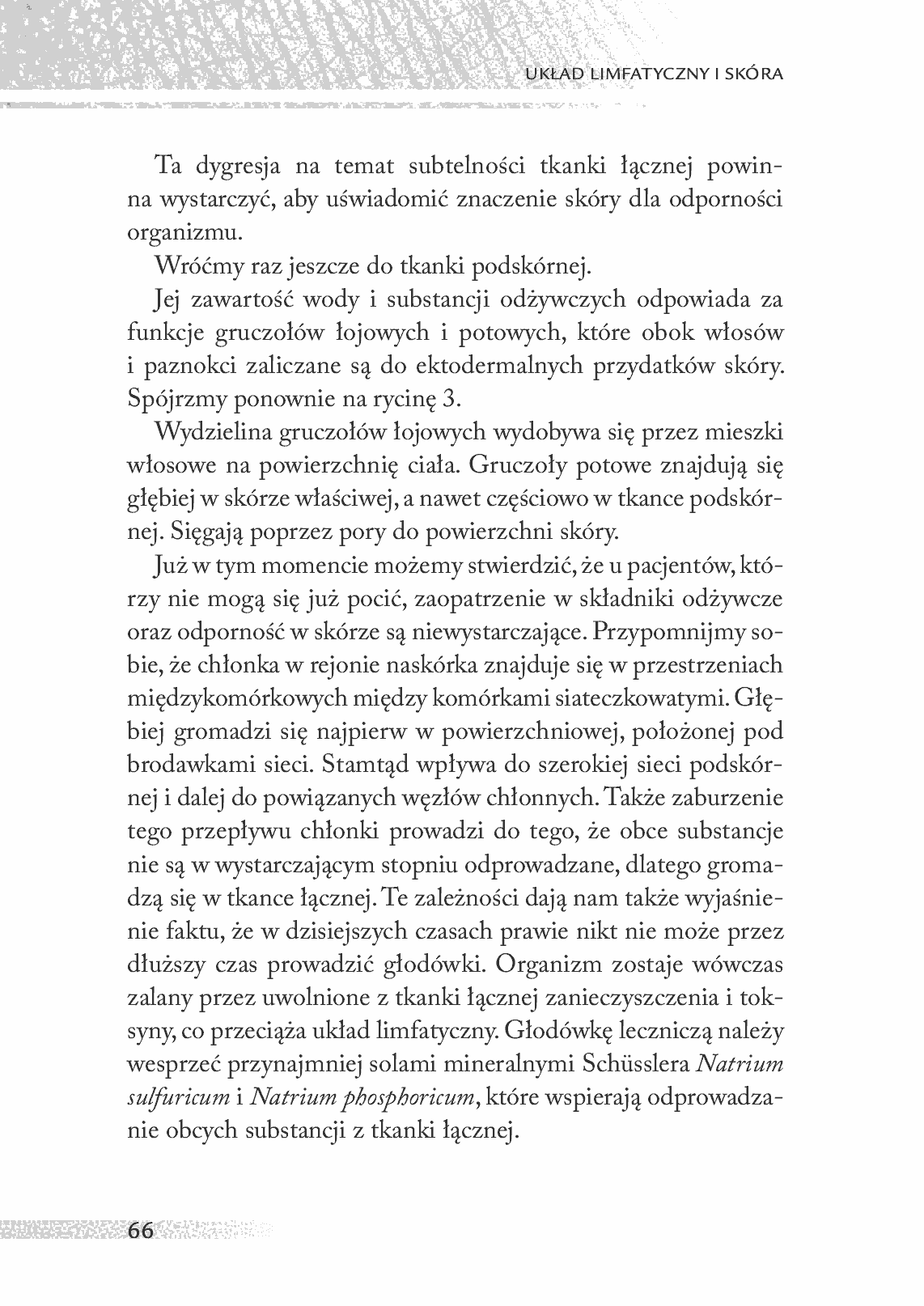 Fragment „Medycyna holistyczna. Tom XII Układ limfatyczny i skóra” — strona 14 z 23