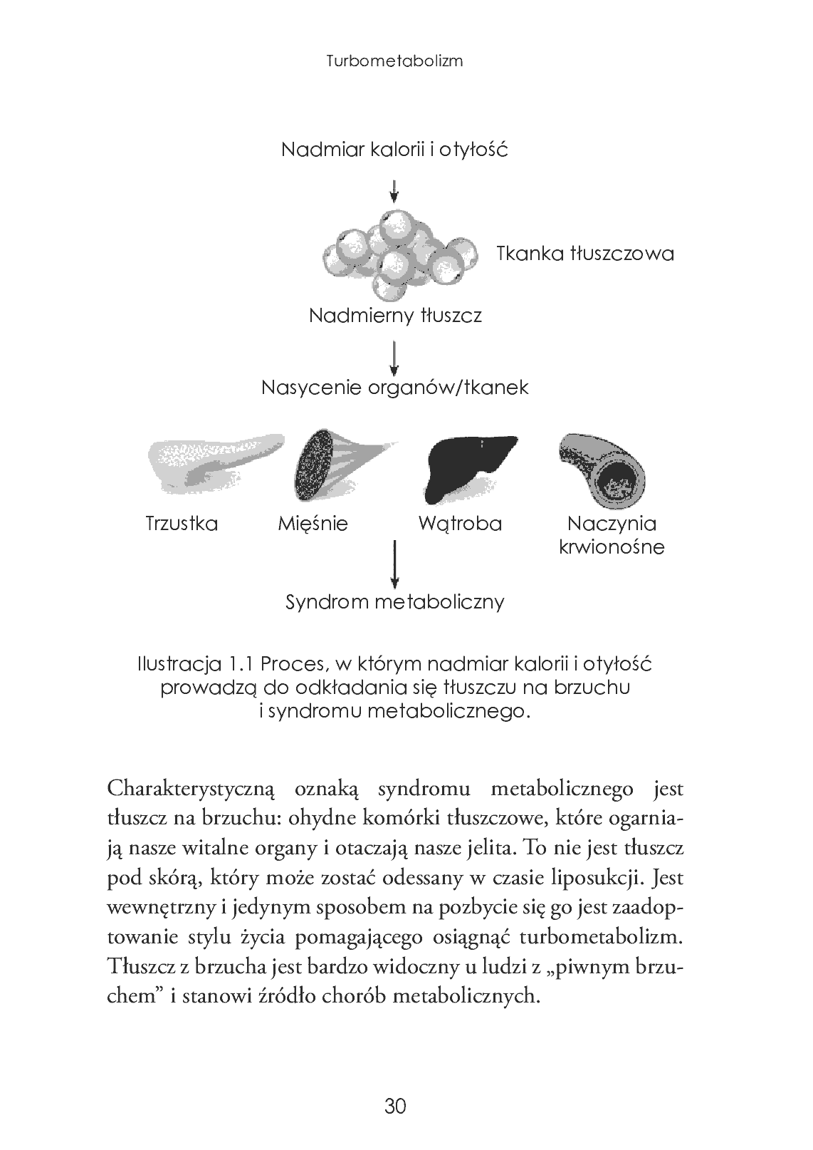 Fragment „Turbometabolizm” — strona 30 z 30