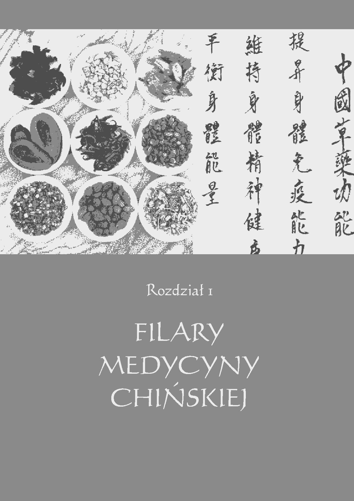 Fragment „Krótki kurs Tradycyjnej Medycyny Chińskiej” — strona 10 z 21