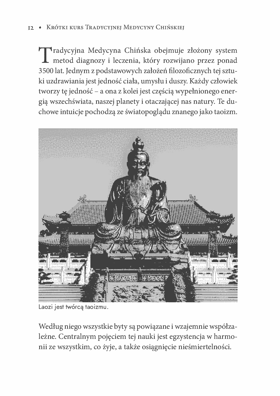 Fragment „Krótki kurs Tradycyjnej Medycyny Chińskiej” — strona 11 z 21