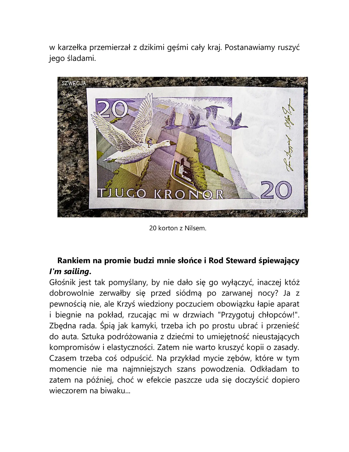Fragment „Z dzieckiem w podróży - SZWECJA” — strona 9 z 30
