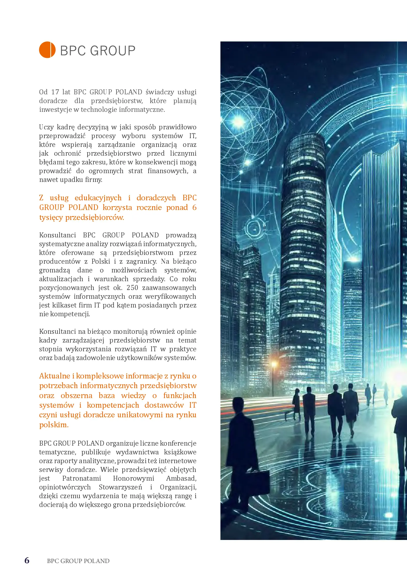Fragment „Systemy IT w Polsce” — strona 6 z 10