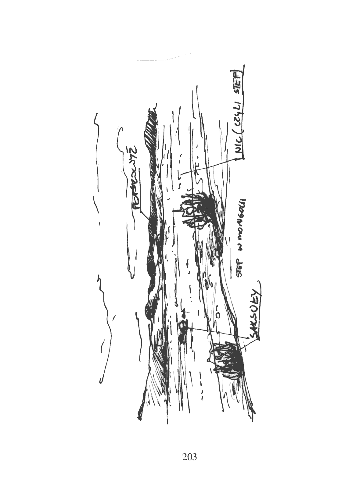 Fragment „Pickupem na początek światA” — strona 17 z 30