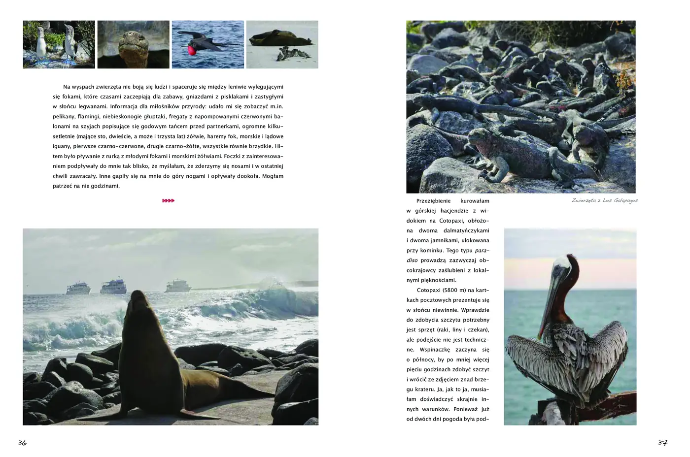 Fragment „Pachamama. Podróż przez Amerykę Południową” — strona 21 z 26