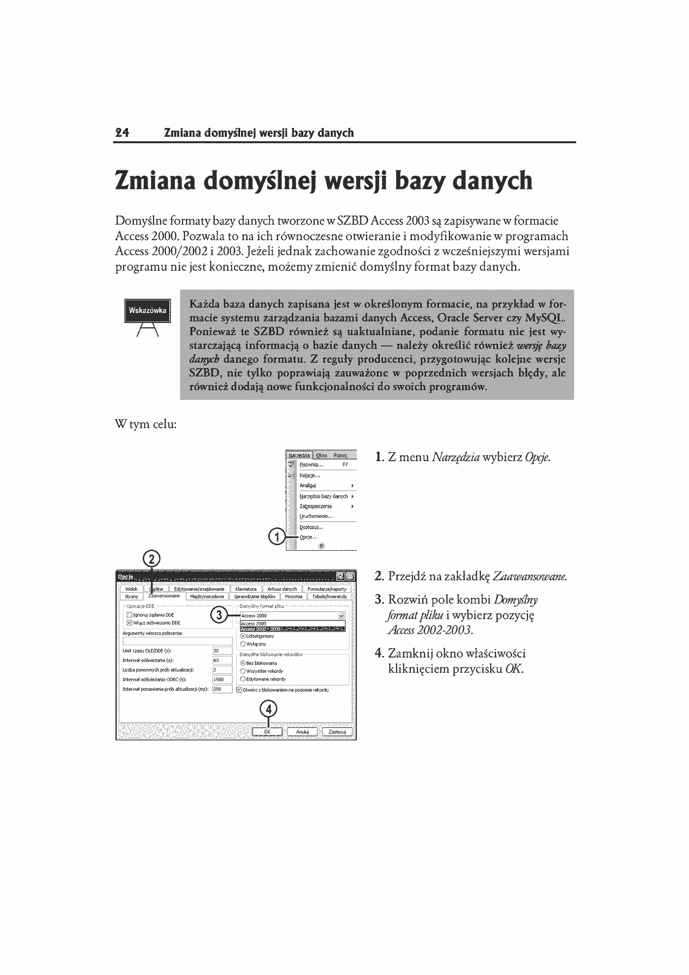 Fragment „Access 2003 PL. Kurs” — strona 17 z 24
