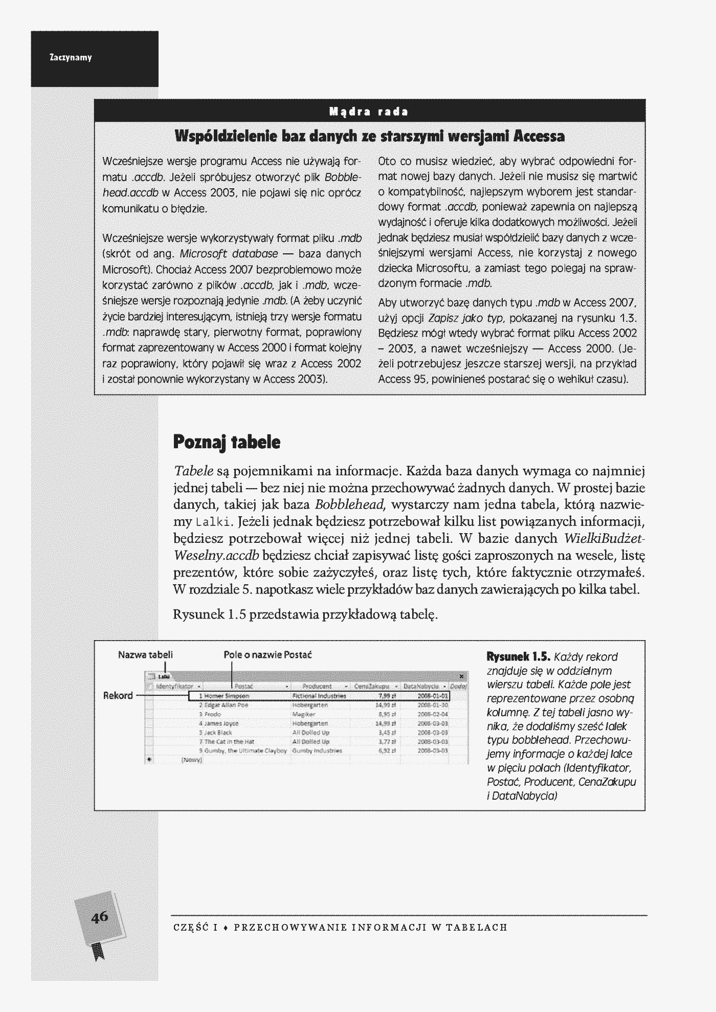 Fragment „Access 2007 PL. Nieoficjalny podręcznik” — strona 19 z 30