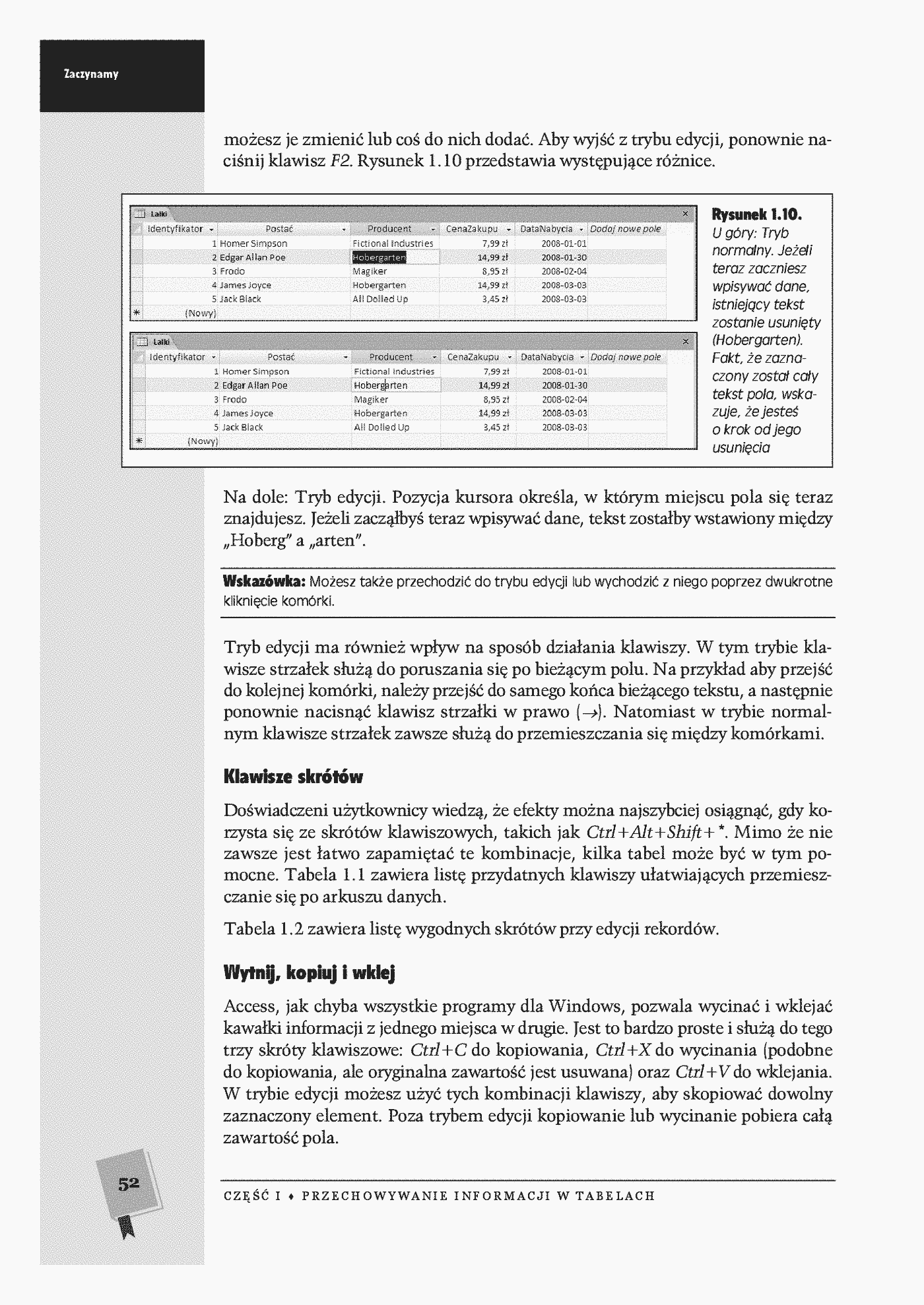 Fragment „Access 2007 PL. Nieoficjalny podręcznik” — strona 25 z 30