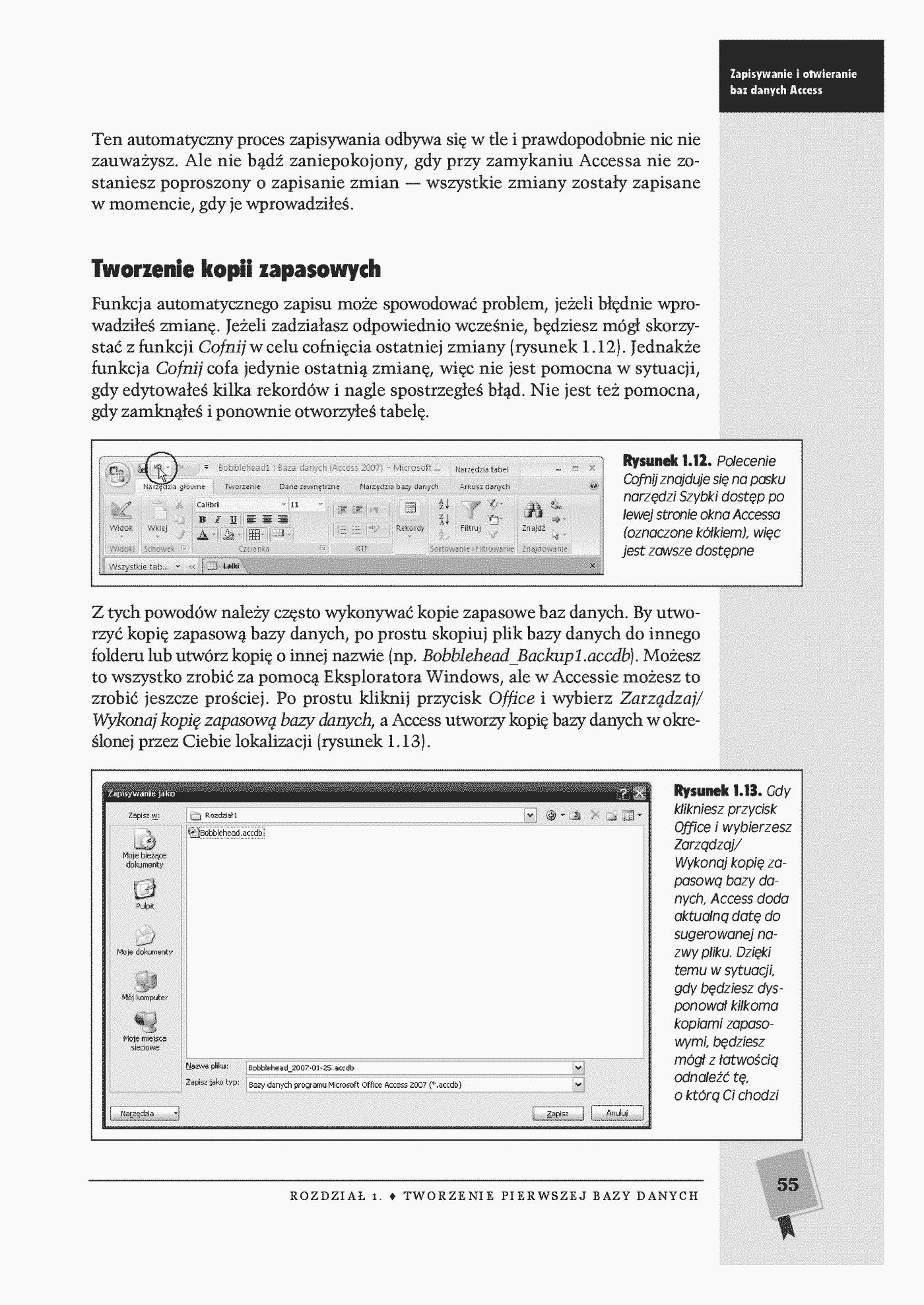 Fragment „Access 2007 PL. Nieoficjalny podręcznik” — strona 28 z 30