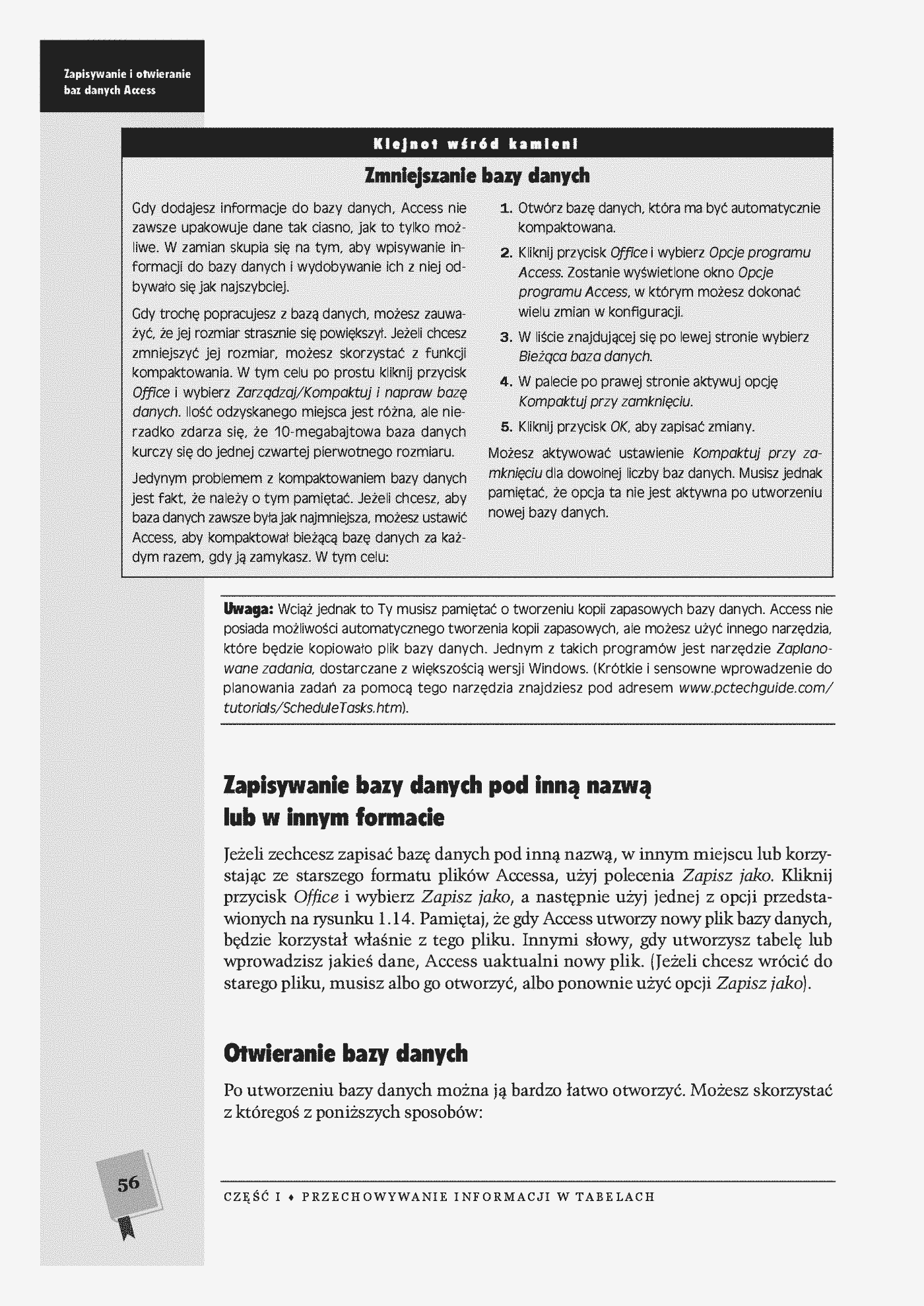 Fragment „Access 2007 PL. Nieoficjalny podręcznik” — strona 29 z 30