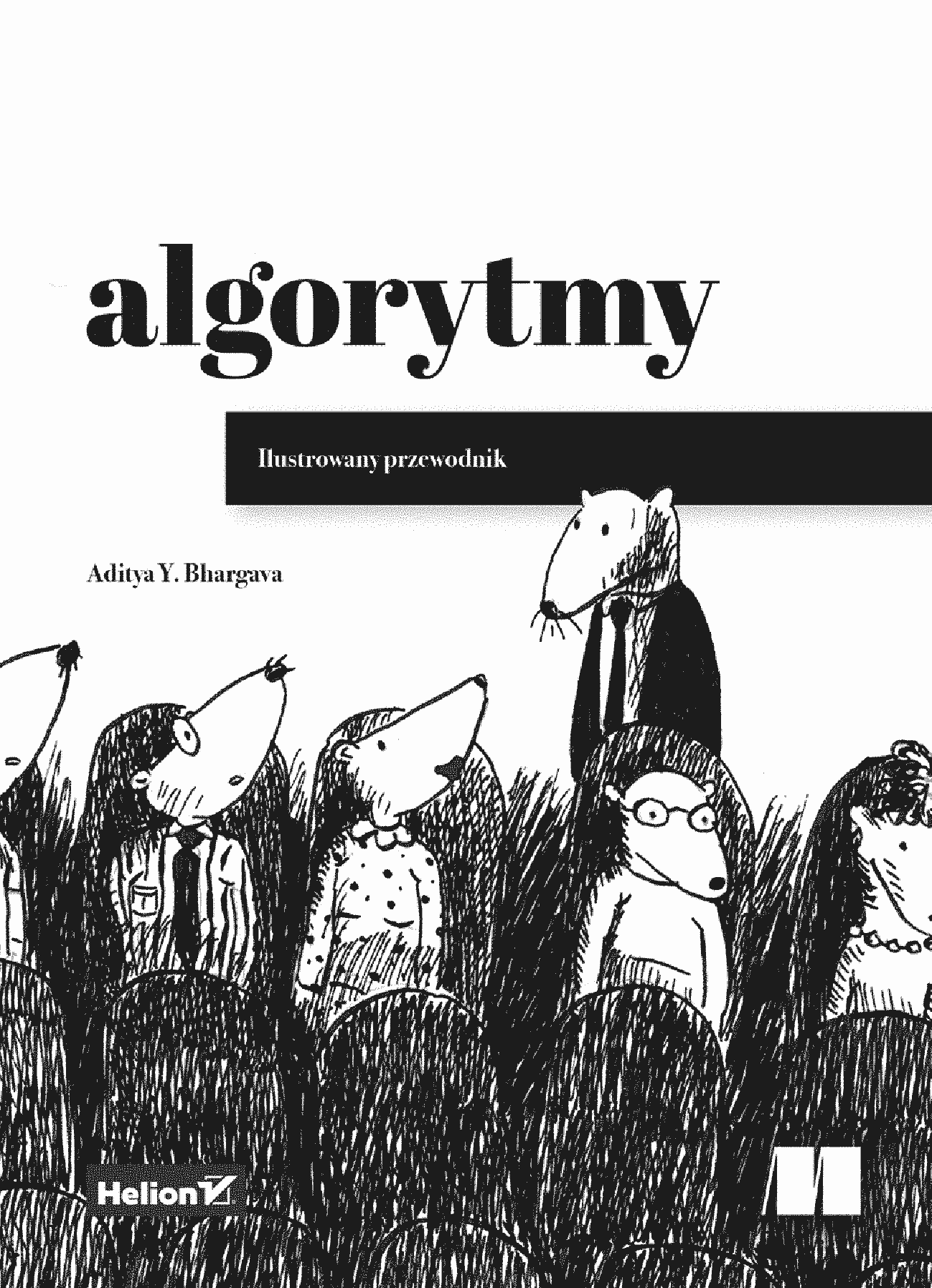 Fragment „Algorytmy. Ilustrowany przewodnik” — strona 1 z 30