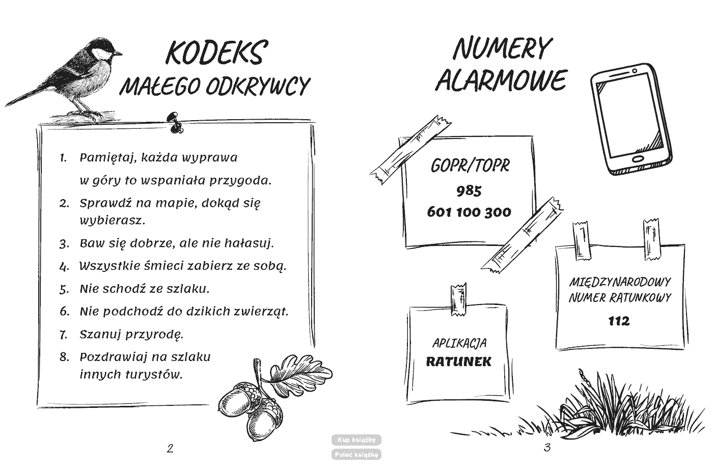 Fragment „Dziennik górskich wypraw” — strona 3 z 9