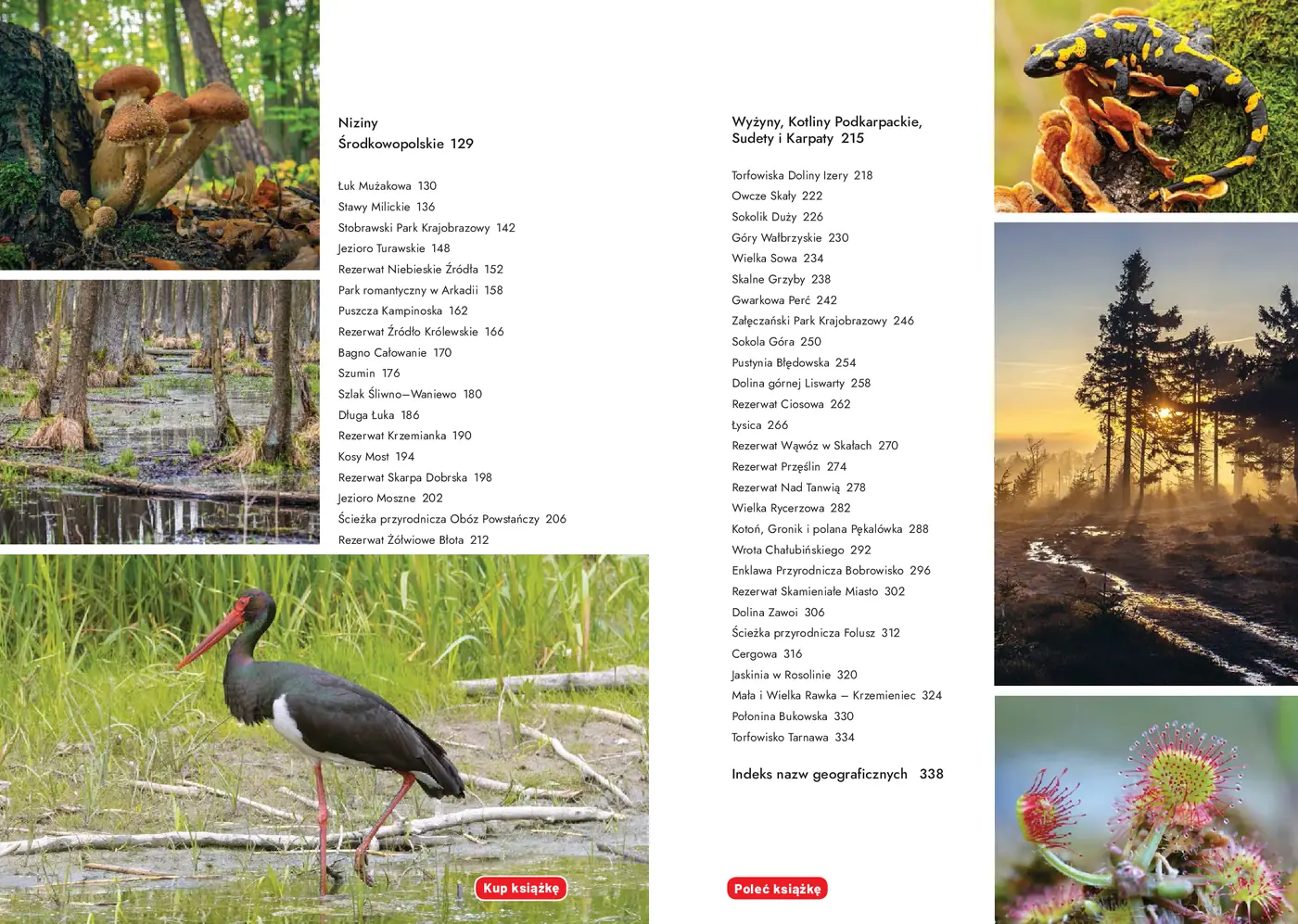 Fragment „Dzika Polska. Tam, gdzie wciąż rządzi natura” — strona 3 z 9
