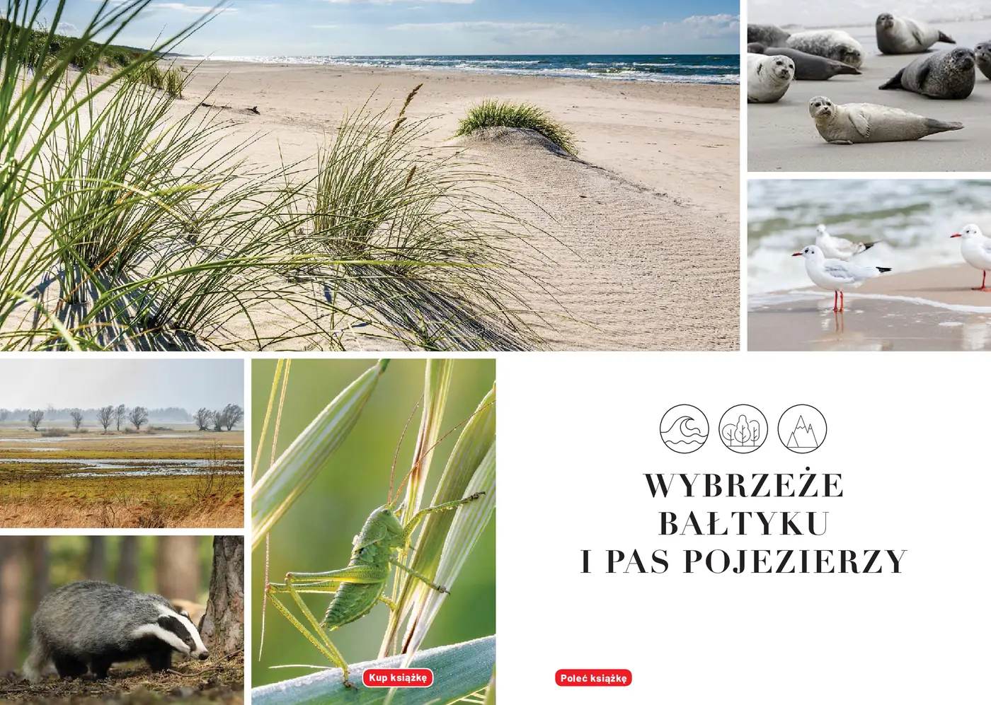 Fragment „Dzika Polska. Tam, gdzie wciąż rządzi natura” — strona 5 z 9