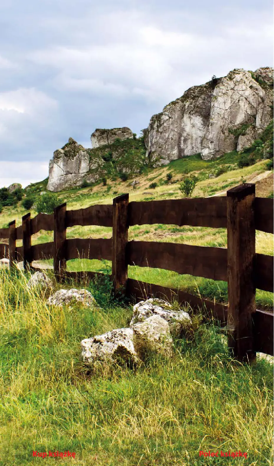 Fragment „Jura Krakowsko-Częstochowska. Travelbook. Wydanie 3” — strona 12 z 24