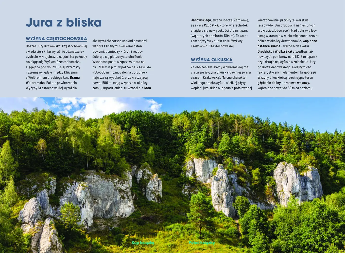 Fragment „Jura Krakowsko-Częstochowska pełna wrażeń. ActiveBook. Wydanie 1” — strona 5 z 14