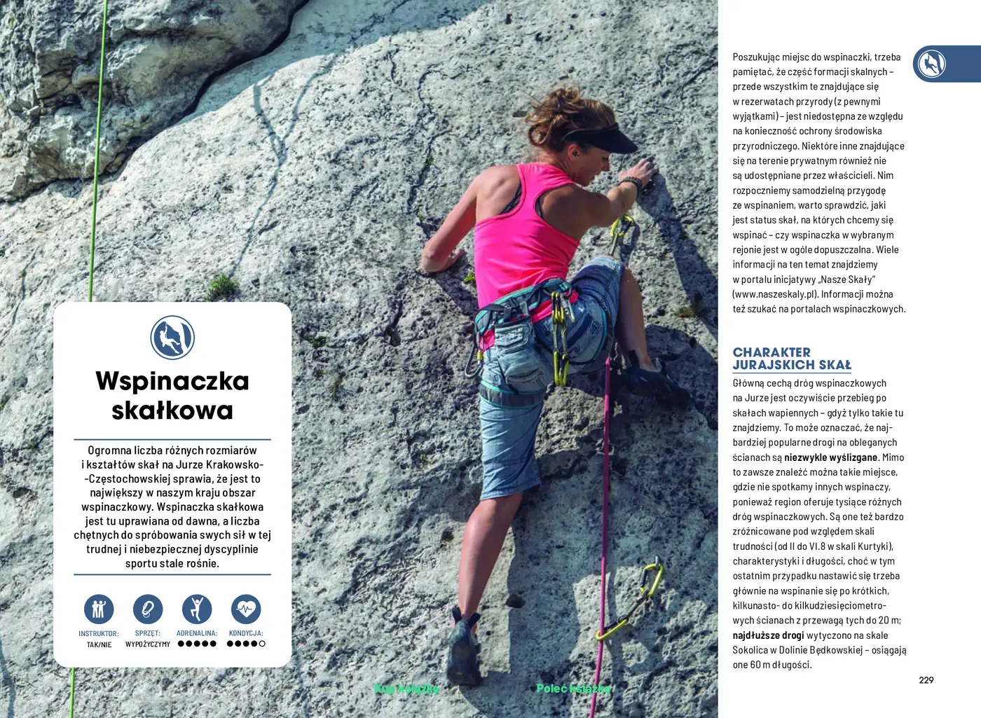 Fragment „Jura Krakowsko-Częstochowska pełna wrażeń. ActiveBook. Wydanie 1” — strona 11 z 14