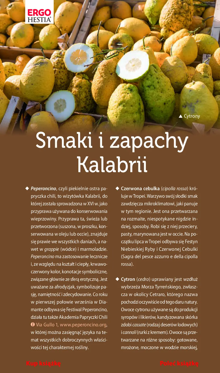 Fragment „Kalabria i Bazylikata. Travelbook. Wydanie 1” — strona 14 z 22