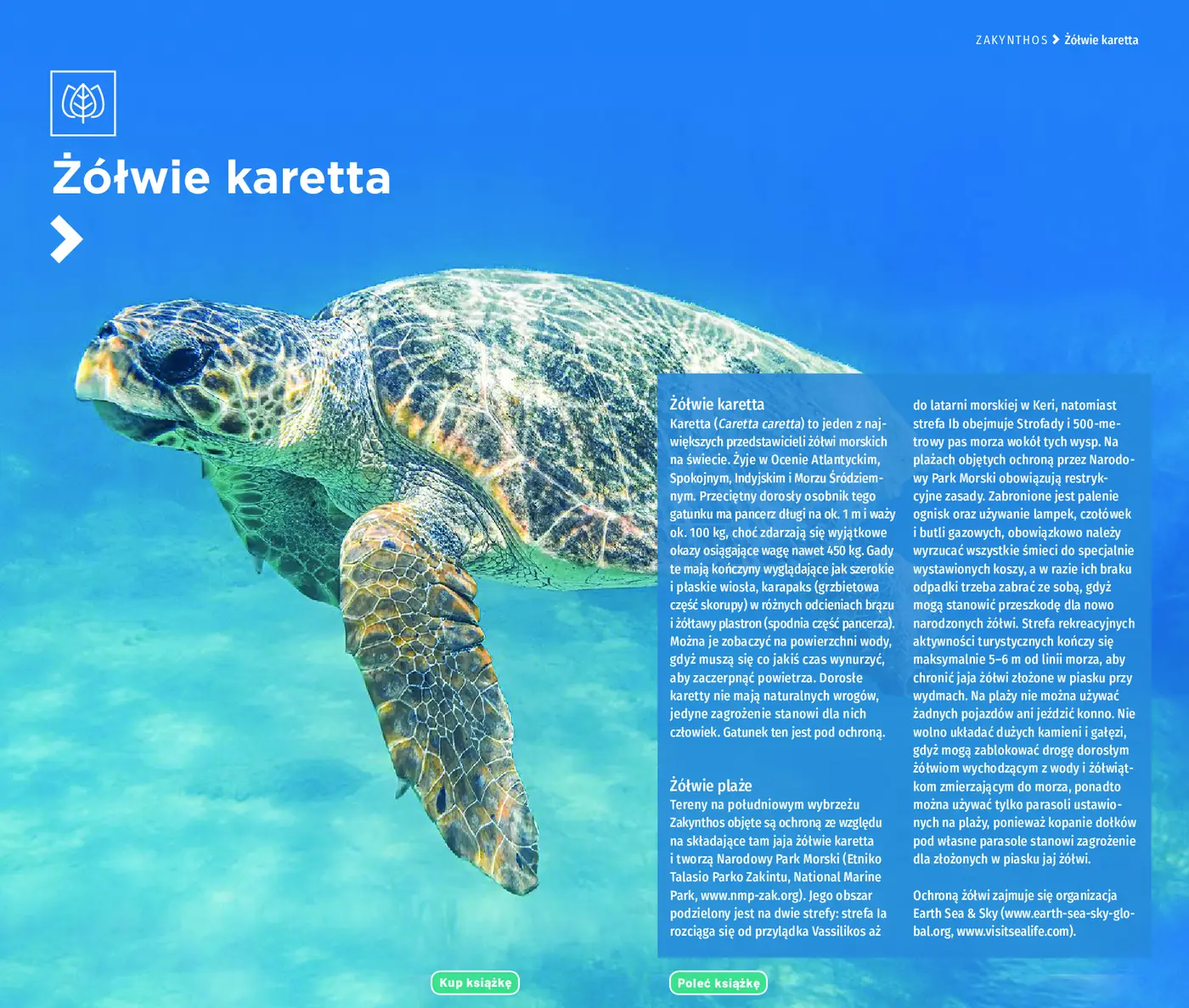 Fragment „Korfu. Lefkada, Itaka, Kefalonia, Zakynthos. Travelbook. Wydanie 4” — strona 8 z 10