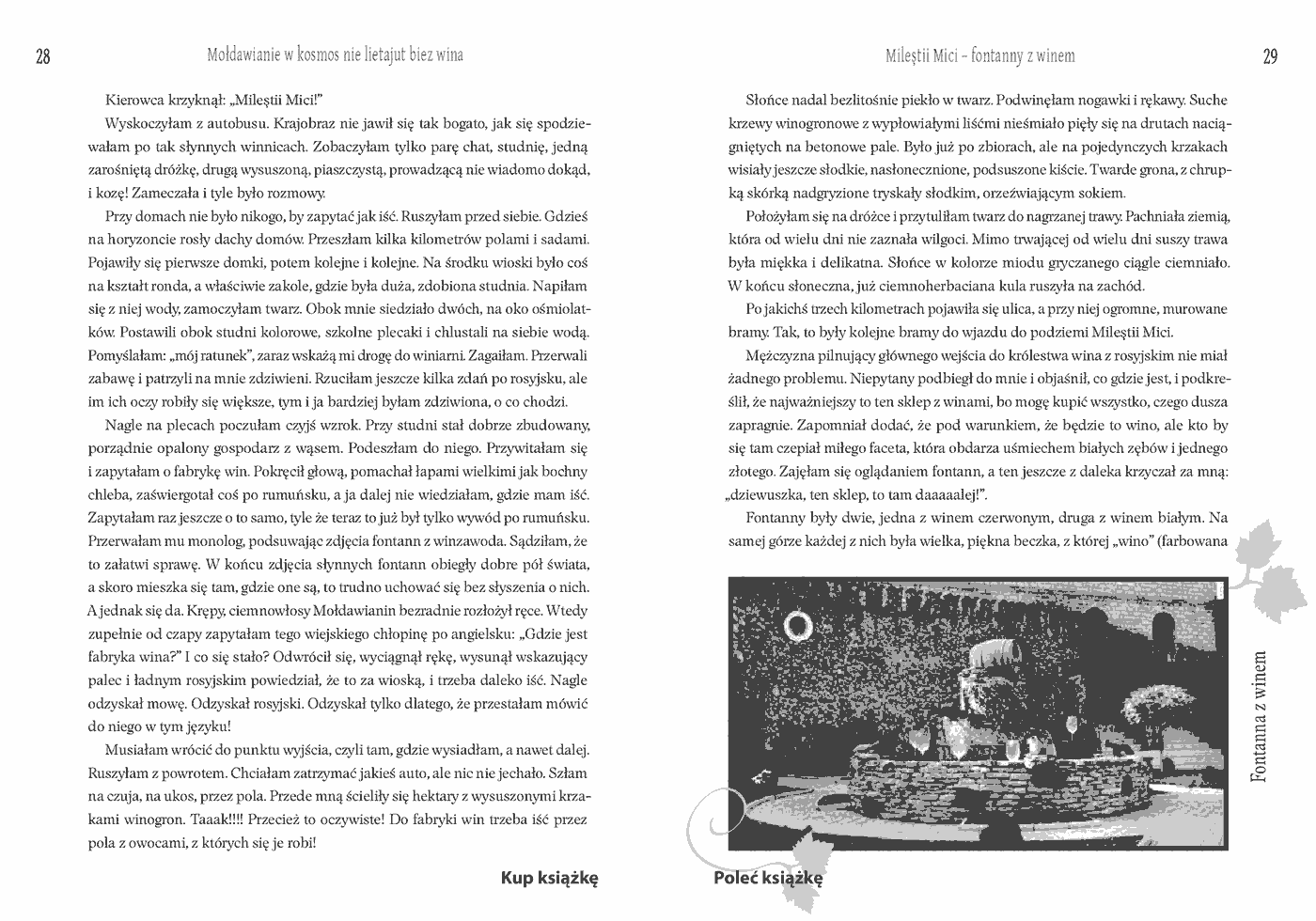 Fragment „Mołdawianie w kosmos nie lietajut biez wina” — strona 4 z 13