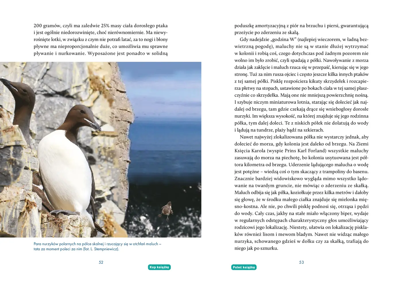 Fragment „Na kruchym lodzie. Opowieść o Arktyce i zmianach klimatu” — strona 6 z 10