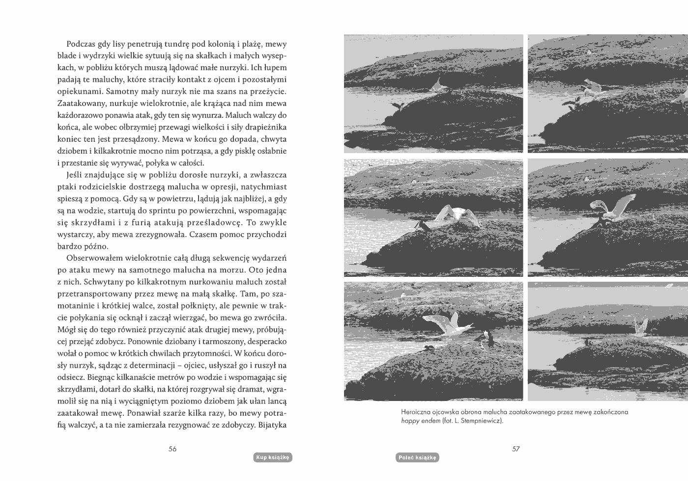 Fragment „Na kruchym lodzie. Opowieść o Arktyce i zmianach klimatu” — strona 8 z 10