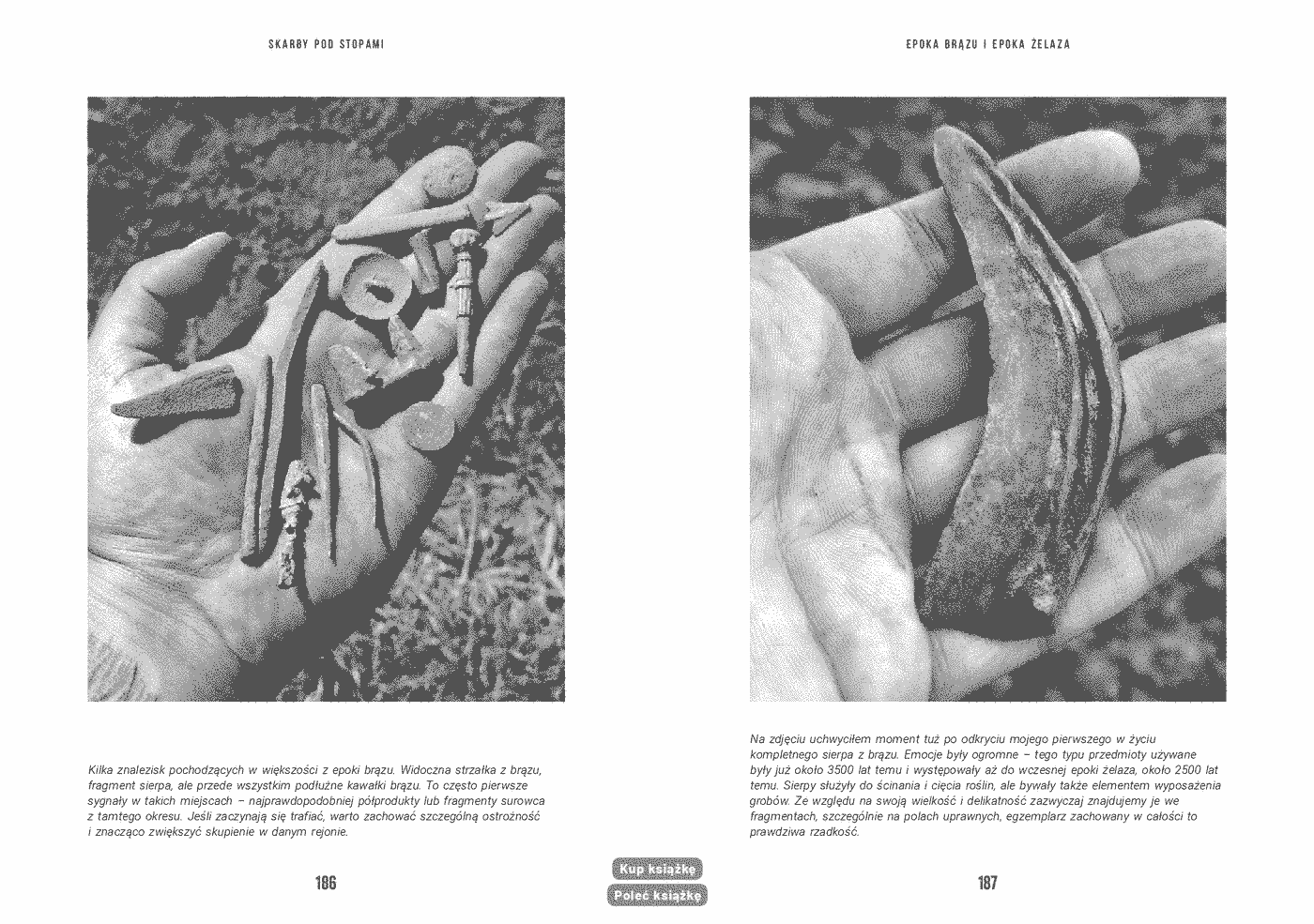 Fragment „Skarby pod stopami. Kompleksowy poradnik detektorysty” — strona 10 z 13