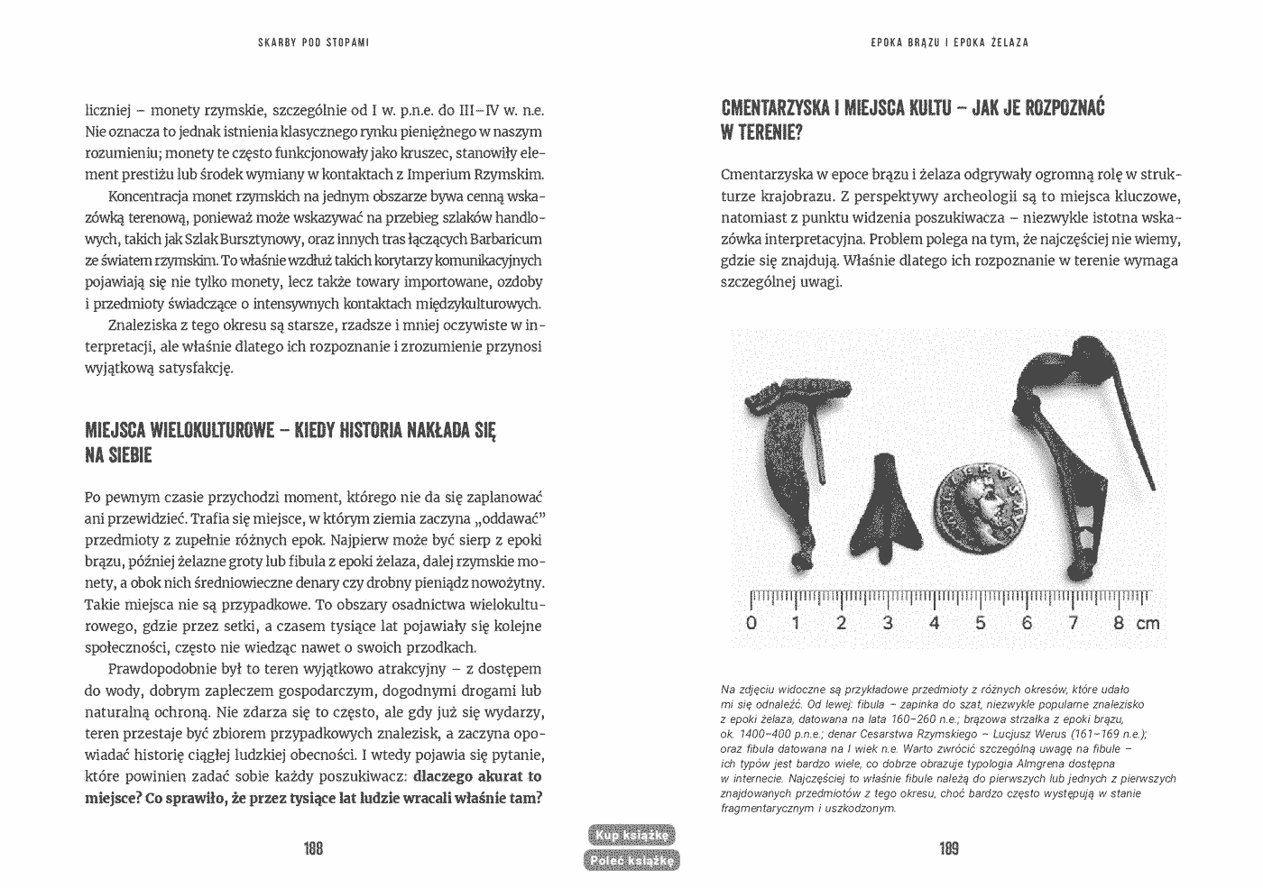 Fragment „Skarby pod stopami. Kompleksowy poradnik detektorysty” — strona 11 z 13