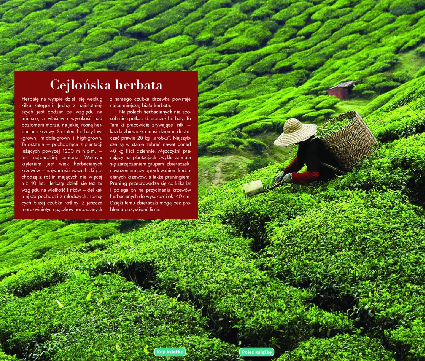 Fragment „Sri Lanka. Travelbook. Wydanie 3” — strona 7 z 10