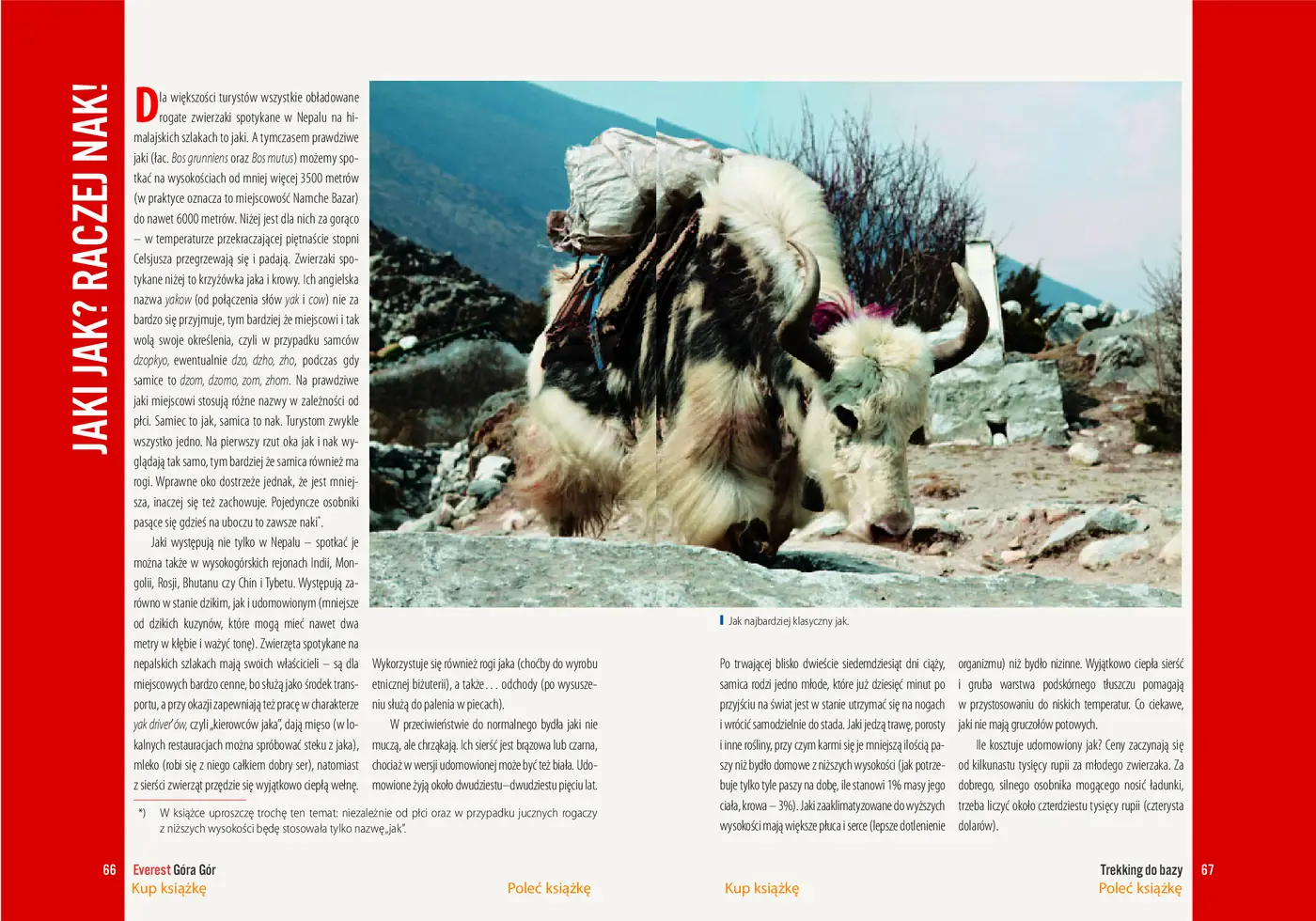 Fragment „Everest. Góra Gór” — strona 8 z 10