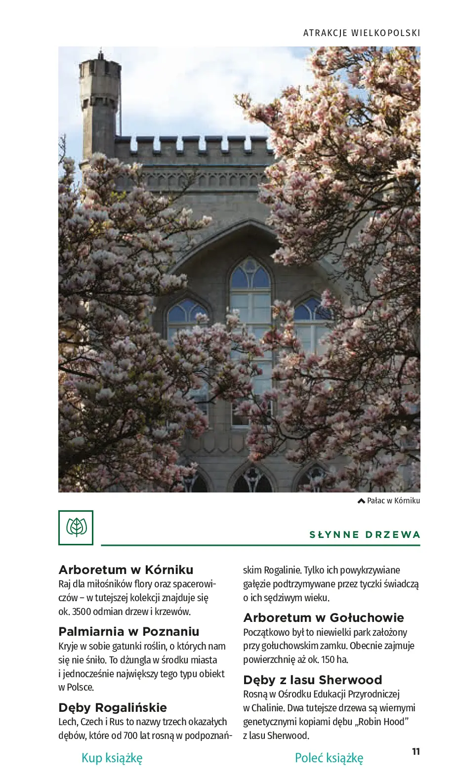 Fragment „Wielkopolska. Travelbook. Wydanie 1” — strona 13 z 30