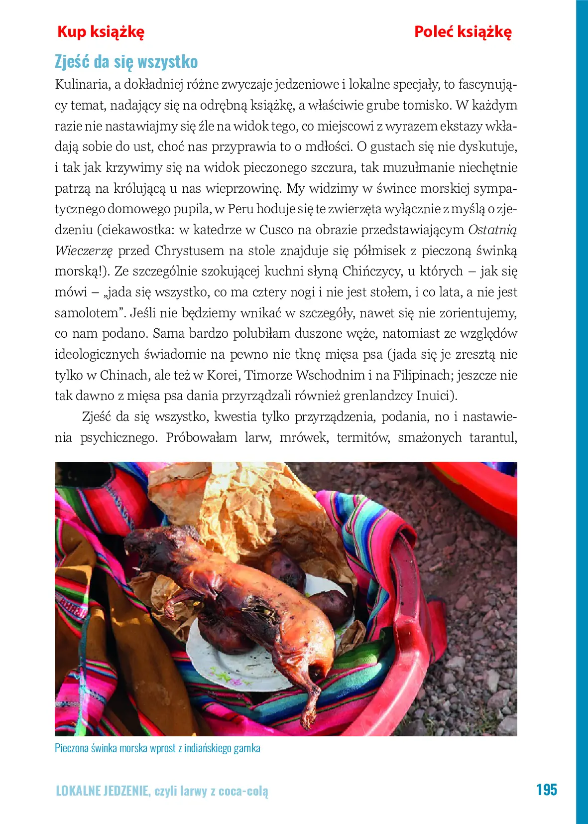 Fragment „Z plecakiem przez świat. Vademecum podróżnika” — strona 17 z 23